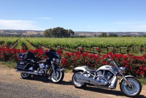mcLaren vale motorcycle tours | 2023