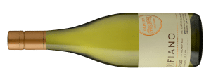 20Fiano tastingnote | 2023