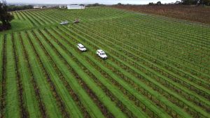 DJI 0112 lowres | 2023