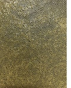 SMALLER Wright Natural ferment in Fiano just kicking off | 2023