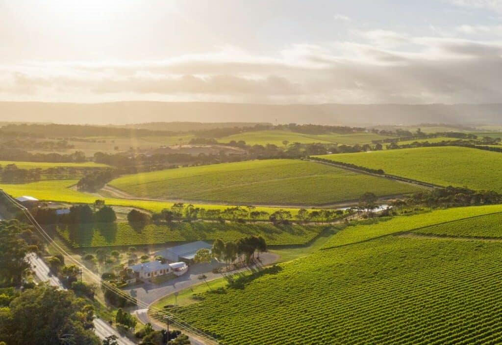 McLaren Vale Vineyards