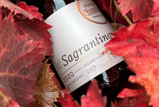 Sagrantino release 1 | 2024