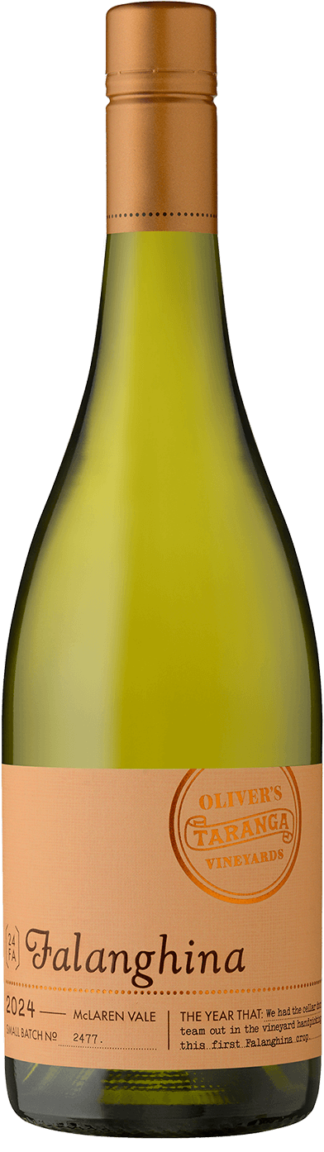 24Falanghina 1 | 2025