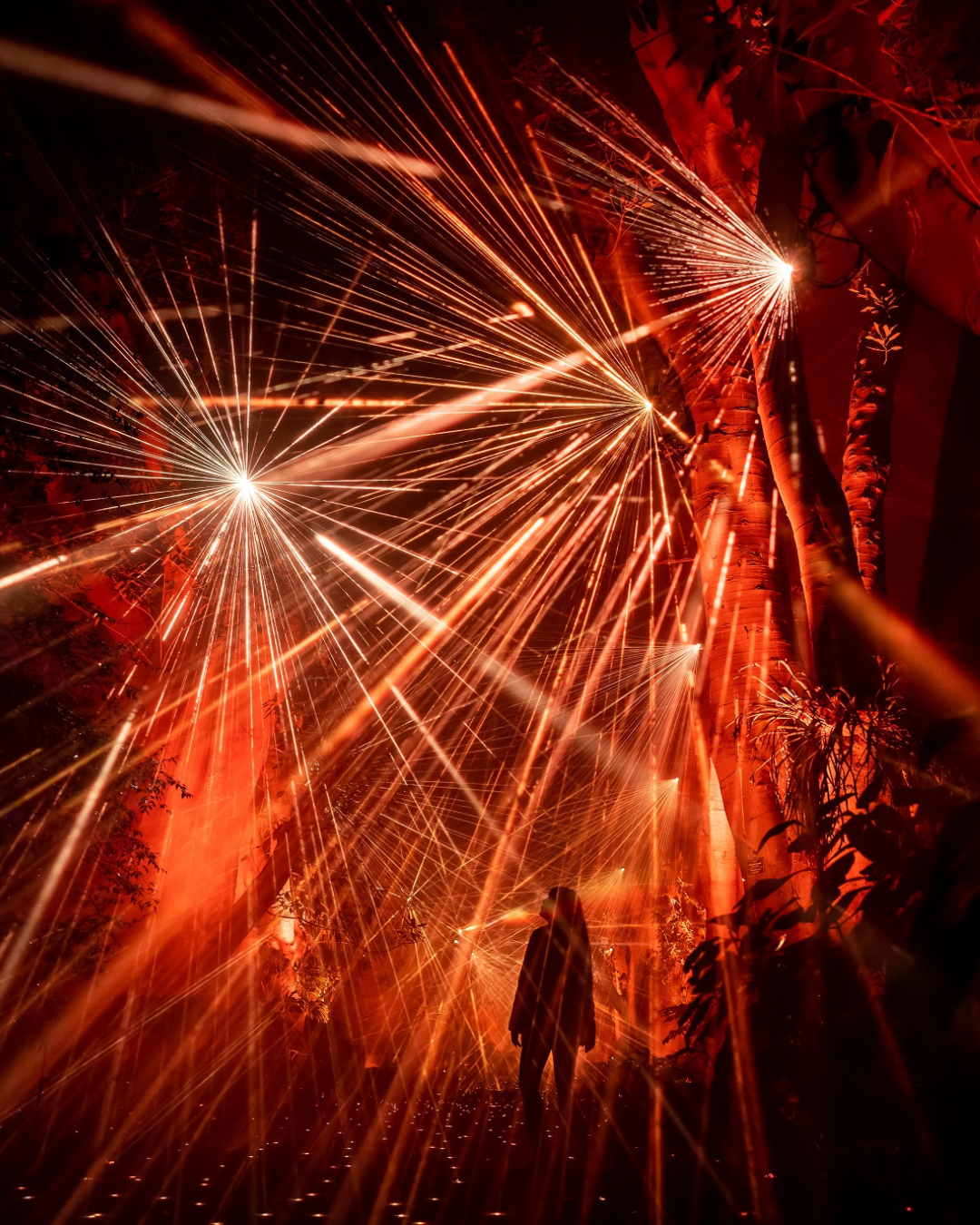 Illuminate image 1 | 2025