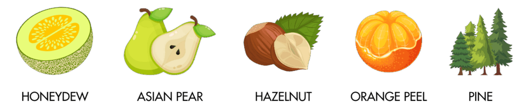 Fiano tasting characters