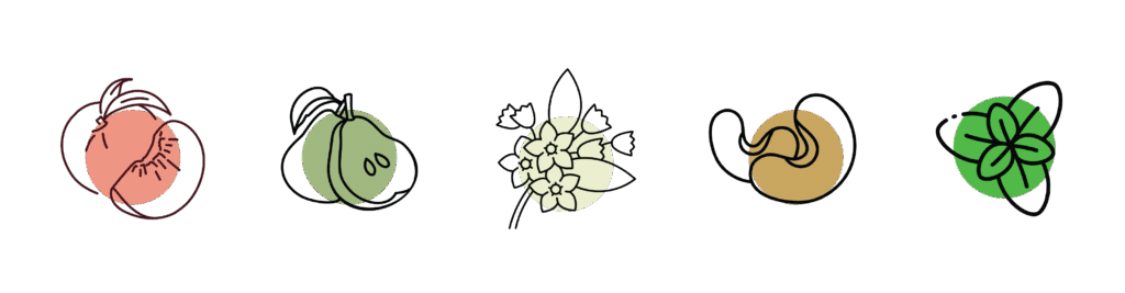 Fiano tasting descriptors | 2025