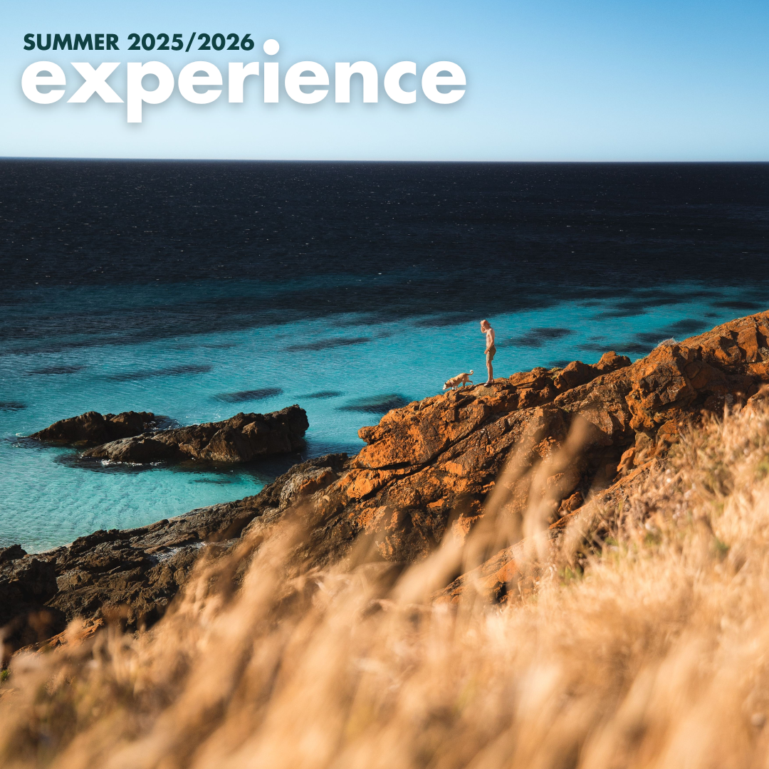 Summer 25/26 Experience Guide