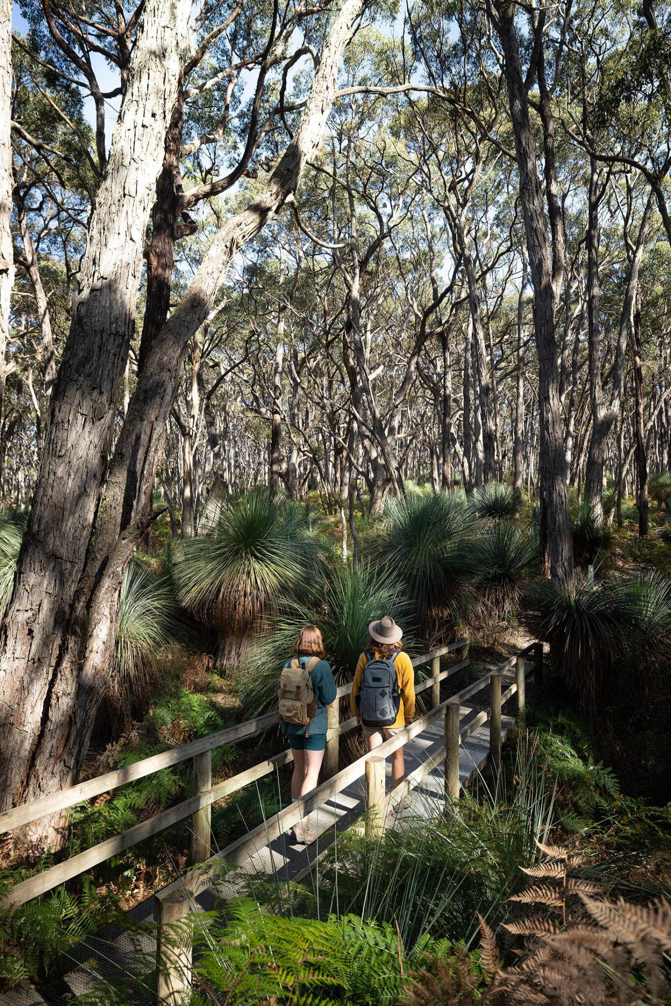 The Best things to do in McLaren Vale & the Fleurieu Peninsula - Autumn 2026 5 1071565 167sml scaled | 2026