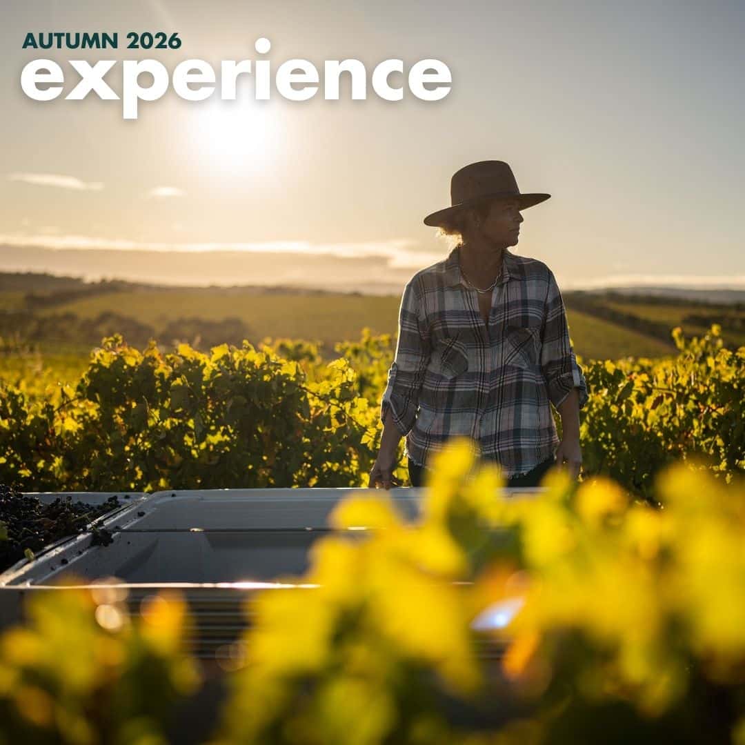 Autumn 2026 Experience