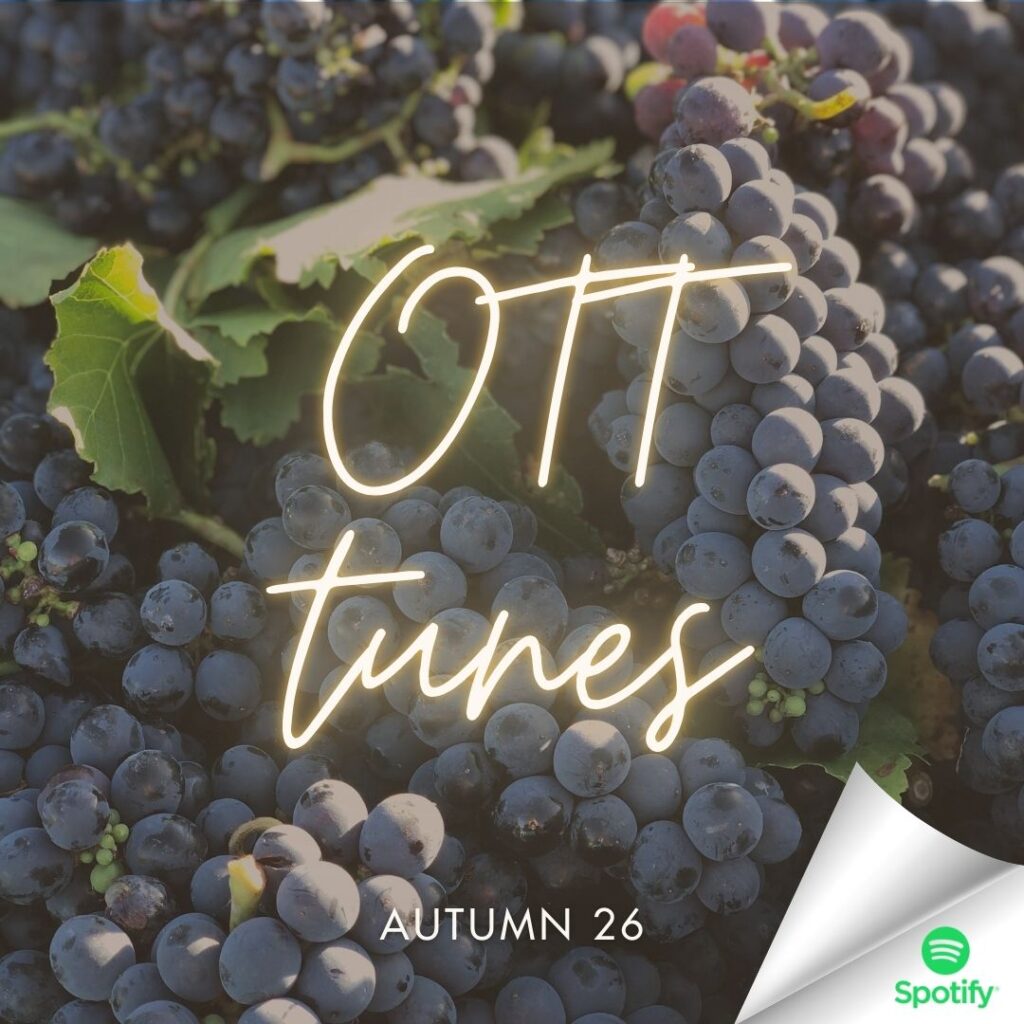 The Best things to do in McLaren Vale & the Fleurieu Peninsula - Autumn 2026 11 OTT tunes Autumn 2026 | 2026