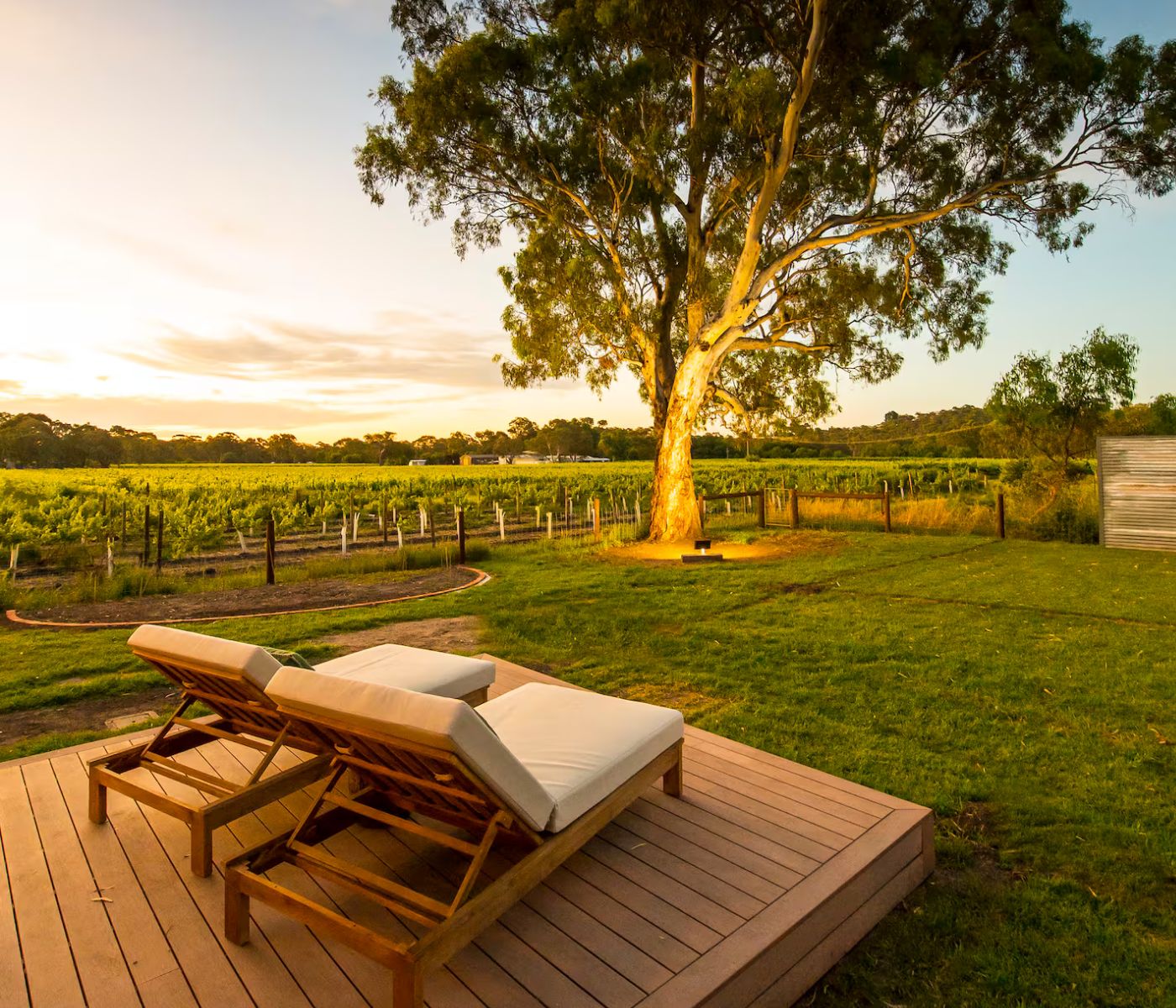 The Best things to do in McLaren Vale & the Fleurieu Peninsula - Winter 2026 7 SULTANA MAXIMALIST | 2026